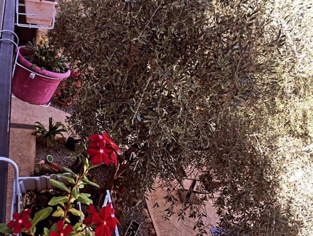 Bella Casetta Guest House Famagusta  Ngoại thất bức ảnh